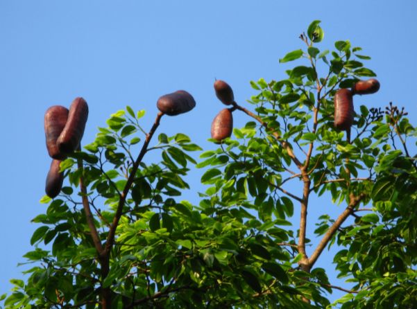 WhatsApp Image 2026-02-20 at 14.38.29